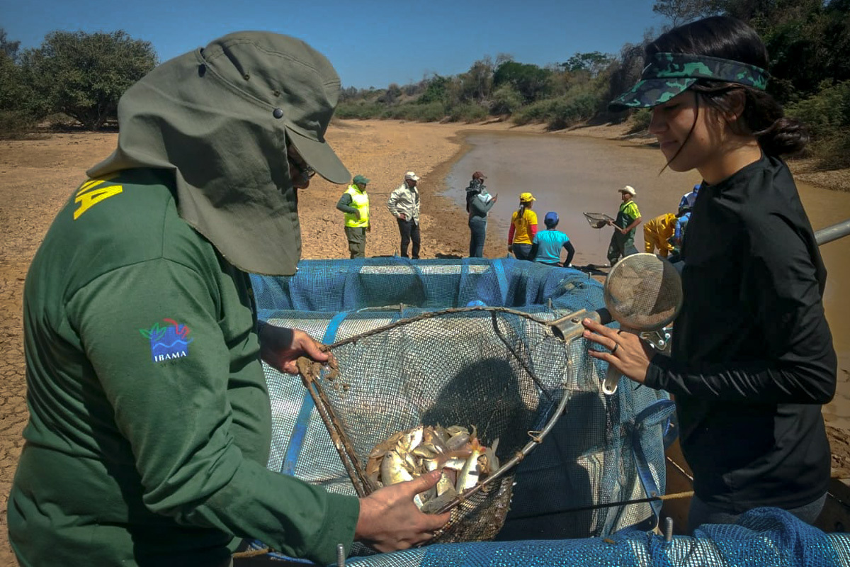 2019-09-peixes-BA-01.jpg