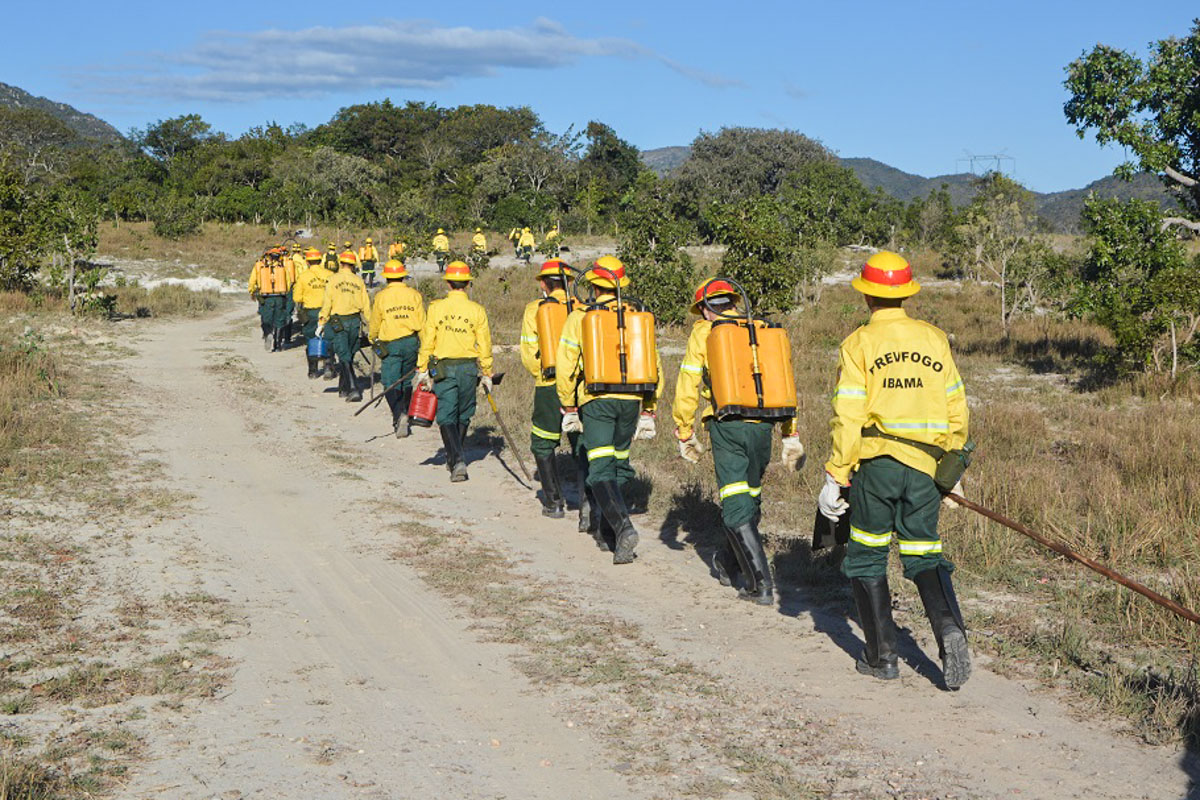 brigadistas_chapada_veadeiros.jpg