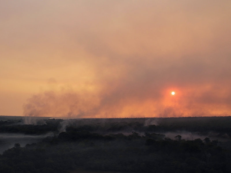 incendio-florestal01.jpg