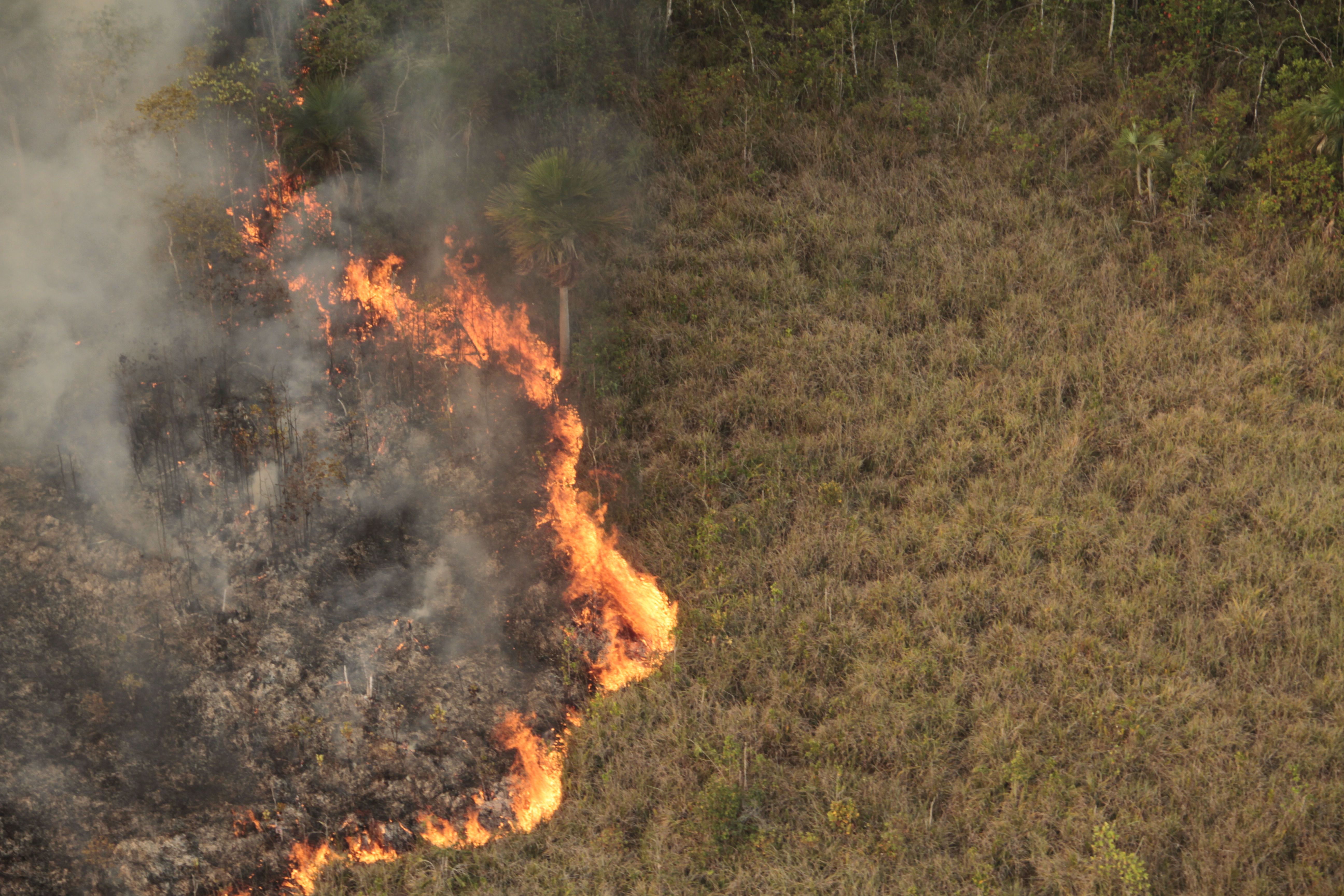 incendio.jpg