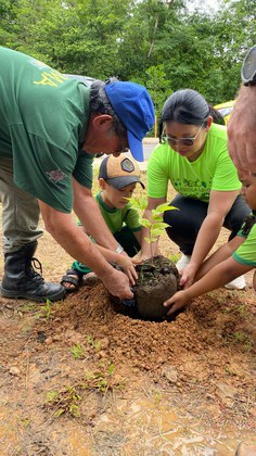 Raízes do Futuro: Ibama celebra 36 anos com plantio de mudas e homenagem aos servidores, no Amapá