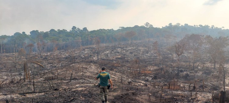 Ibama intensifica ações de combate ao desmatamento no Pará