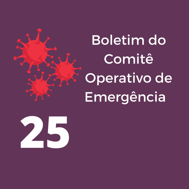 Boletim 25 do COE