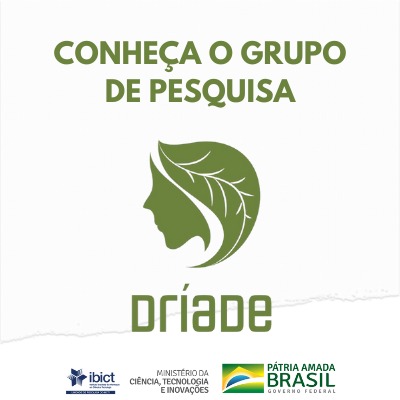 Instituto Brasileiro de Informação em Ciência e Tecnologia - Matriz dos  Níveis de Preservação Digital de 2019 é traduzida para o português pelo  grupo de pesquisa DRÍADE, do Ibict