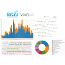 IMG-  Colaboração entre BrCris/Ibict e o Software VIVO