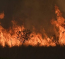 Sugestão de leitura - Brasília e situações críticas: percepção de incêndios florestais nos 60 anos da capital federal