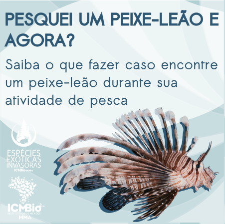 Material para Instagram_ Público Pescadores (1).png