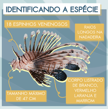 Material para Instagram_ Público Pescadores (2).png