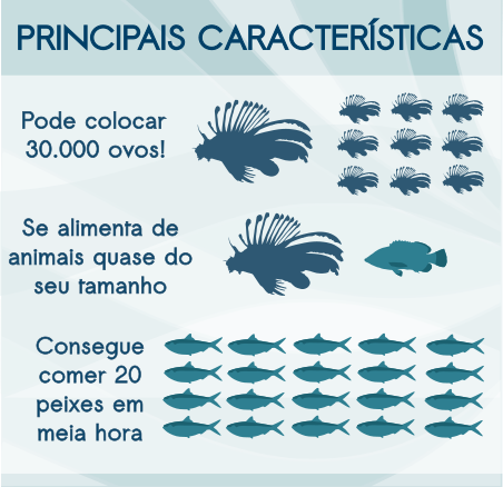 Material para Instagram_ Público Pescadores (3).png