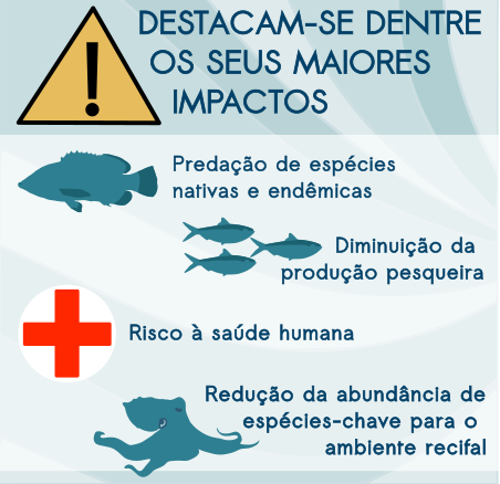 Material para Instagram_ Público Pescadores (4).png