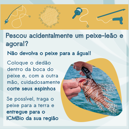 Material para Instagram_ Público Pescadores (5).png