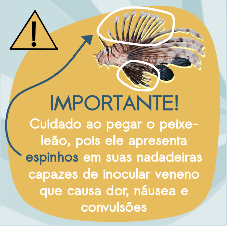 Material para Instagram_ Público Pescadores (6).png