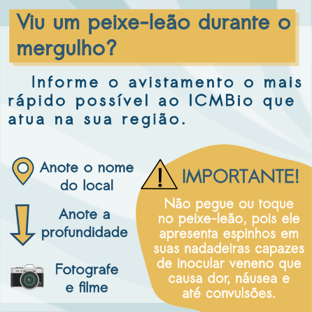 Material para Instagram_Publico mergulhadores e turistas (5).png