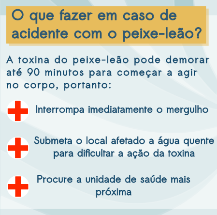 Material para Instagram_Publico mergulhadores e turistas (6).png