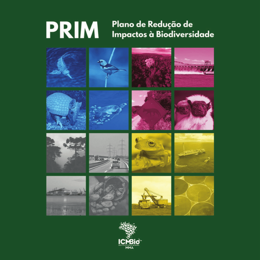 PRIM-Metodologia.png