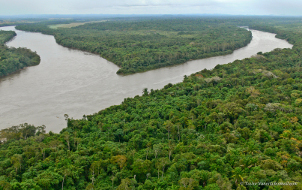 Visão_da_ponta_da_Ilha_de_Maracá_-_Taylor_Nunes.jpg