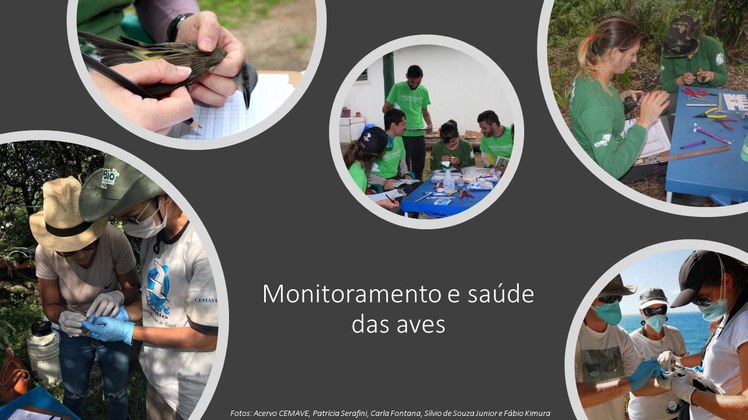 Linha de pesquisa 6 - Monitoramento e investigação em saúde das aves