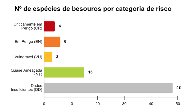 grafico besouros 1.png