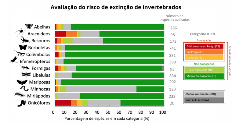 spp categoria.png