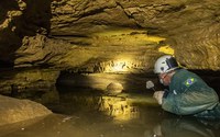 Calendário ambiental de fevereiro celebra duas datas importantes