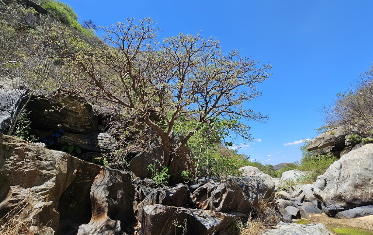 Expedição na região do Parque Nacional da Serra do Teixeira (PB) - Foto: Diego Bento