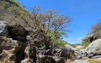 Descobertas 21 cavidades naturais subterrâneas na região do Parque Nacional Serra do Teixeira (PB)