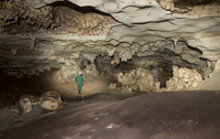 Especialistas do Brasil e do exterior discutem sobre cavernas em Curitiba: Congresso Brasileiro de Espeleologia acontece neste mês