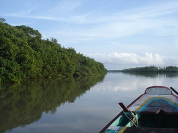 Manguezal da Resex Mestre Lucindo, Pará.