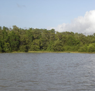 Manguezal da Resex Mestre Lucindo, Pará.