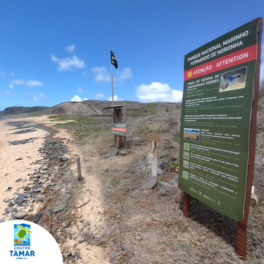 Placa de sinalização com informações sobre a Chelonia mydas (Praia do Leão, Fernando de Noronha-PE)