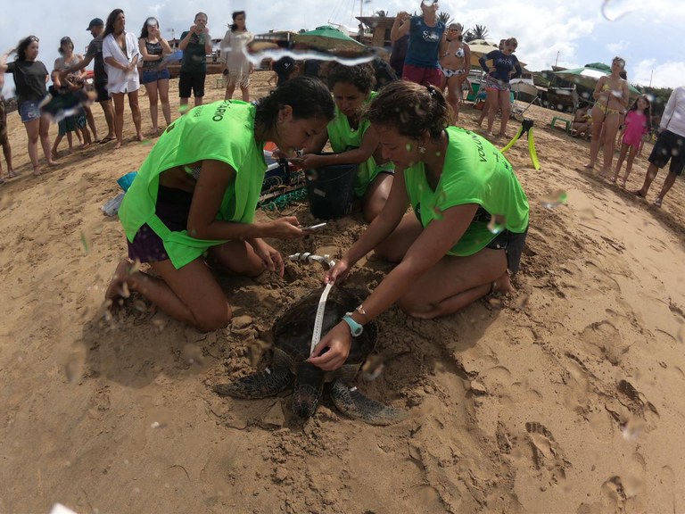 Voluntárias na Base Avançada do Centro TAMAR/ICMBio em Fernando de Noronha/PE