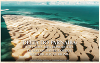 Delta do Parnaíba: uma nova área reprodutiva de tartarugas-de-couro é identificada no Brasil