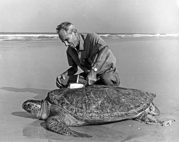 Dr. Archie Carr e os balões meteorológicos (c) Sea Turtle Conservancy