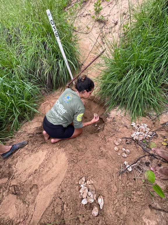 Voluntária Carolina Treza em campo no Centro TAMAR/ICMBio de Fernando de Noronha-PE