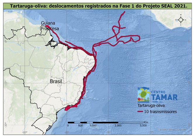 Mapa dos deslocamentos registrados na fase 1 do Projeto SEAL