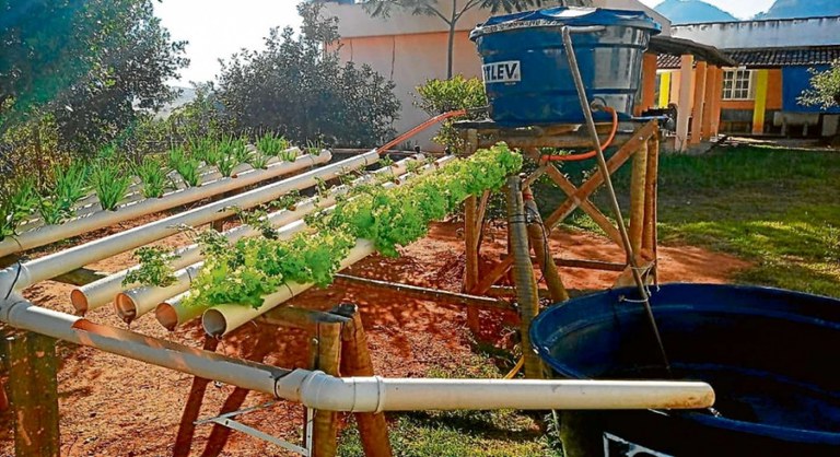 Projeto de Aquaponia possibilita cultivo de hortaliças em Lnhares-ES