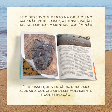 Arte Guia de Licenciamento - Tartarugas Marinhas 2a Edição (Dillo Tenório)