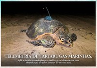 Telemetria de tartarugas marinhas: aplicação das tecnologias por satélite gera informações para identificação de áreas críticas de uso no mar