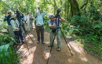 Aberto edital para credenciamento de condutores de observadores de aves no Parque Nacional do Iguaçu (PR)