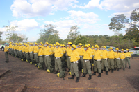 Brigada de pronto emprego se apresenta em Brasília