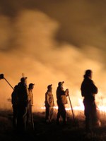Brigadas combatem incêndios em Parque de Ilha Grande