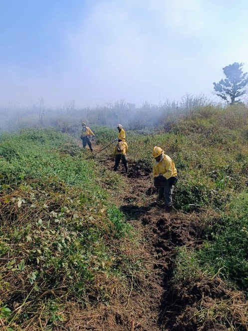 Brigadistas abrem linha de defesa para conter incêndio no Parque Nacional- foto: Washington Mota/ICMBio