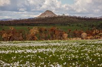 Chapada dos Veadeiros promove concurso fotográfico