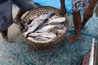 Delegação africana conhecerá áreas marinhas protegidas