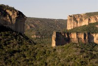 Dia da Caatinga é celebrado neste domingo