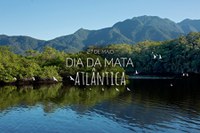 Dia da Mata Atlântica é comemorado hoje (27)