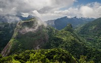 Em nova exposição, fotógrafo lança livro com fotos inéditas do Parque Nacional da Tijuca