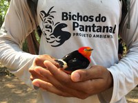 Esec Serra das Araras promove ações de educação ambiental