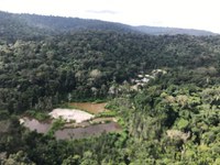 Fiscalização embarga área na Amazônia