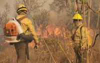 Governo Federal endurece penalidades para quem provocar incêndios florestais